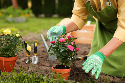 15 toffe tuiniertips voor juni