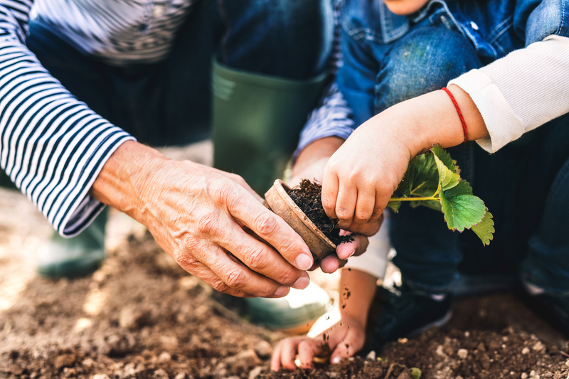 5 gewassen voor de makkelijke moestuin