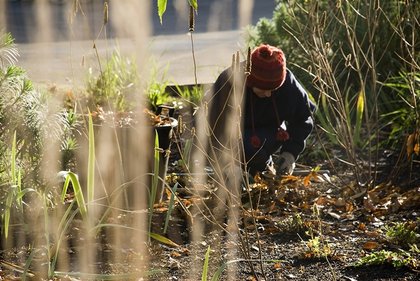 5 tips om je tuinplanten tegen vorst te beschermen